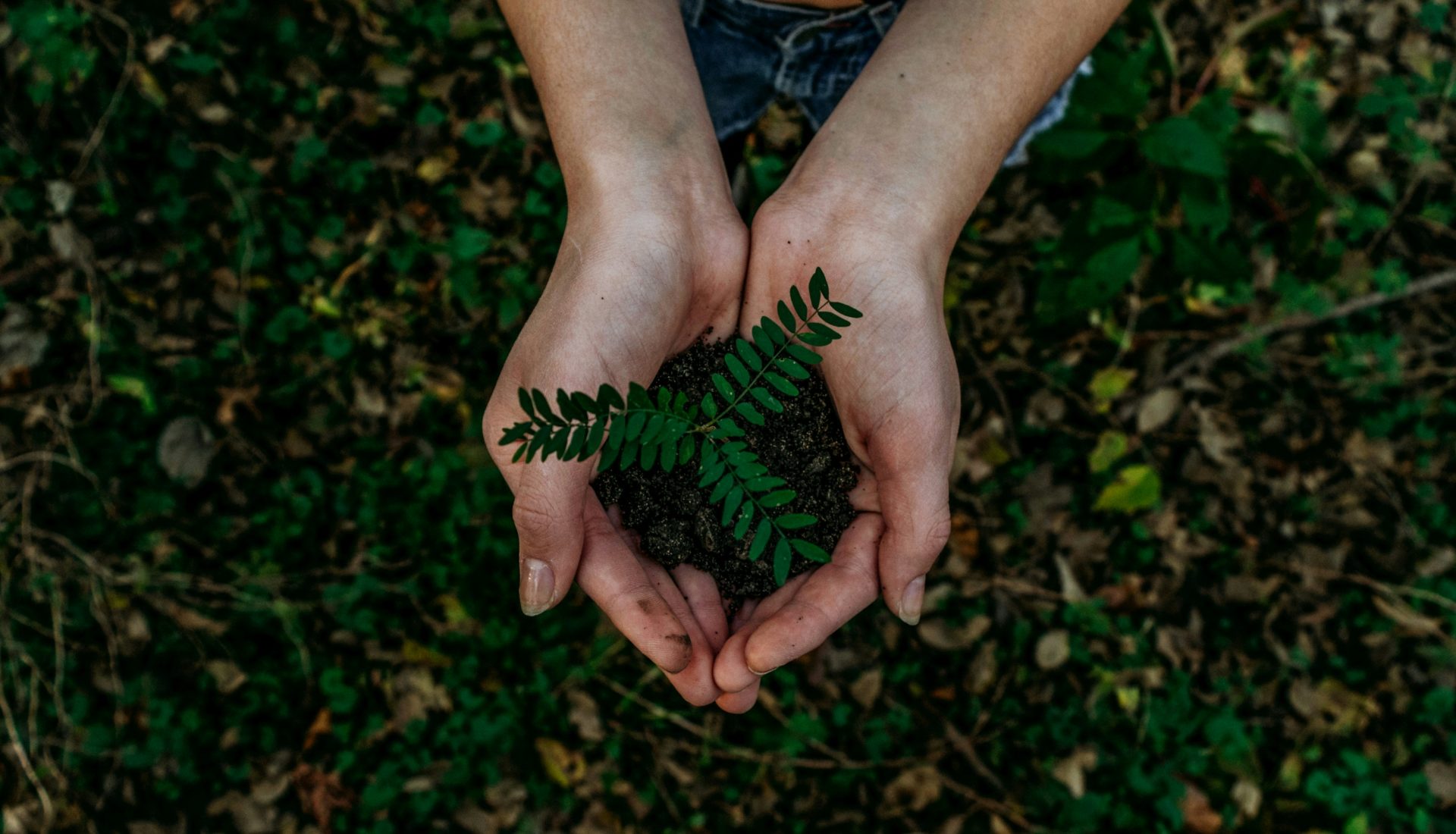 Этика и экология в устойчивом бизнесе Skarvex Group